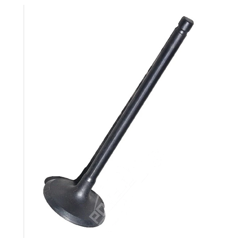 1S7G6507D7G 1S7G6507DG 1S7Z6507B 1675266 1324691 LR025301 Intake Valve... — 2