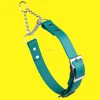 Pastel green