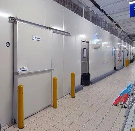 Customizable cold storage door solutions for various cold storage projects
