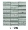 STF101