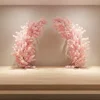 Set rosa da 2,5 m (con supporto)