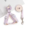 Lazo Morado