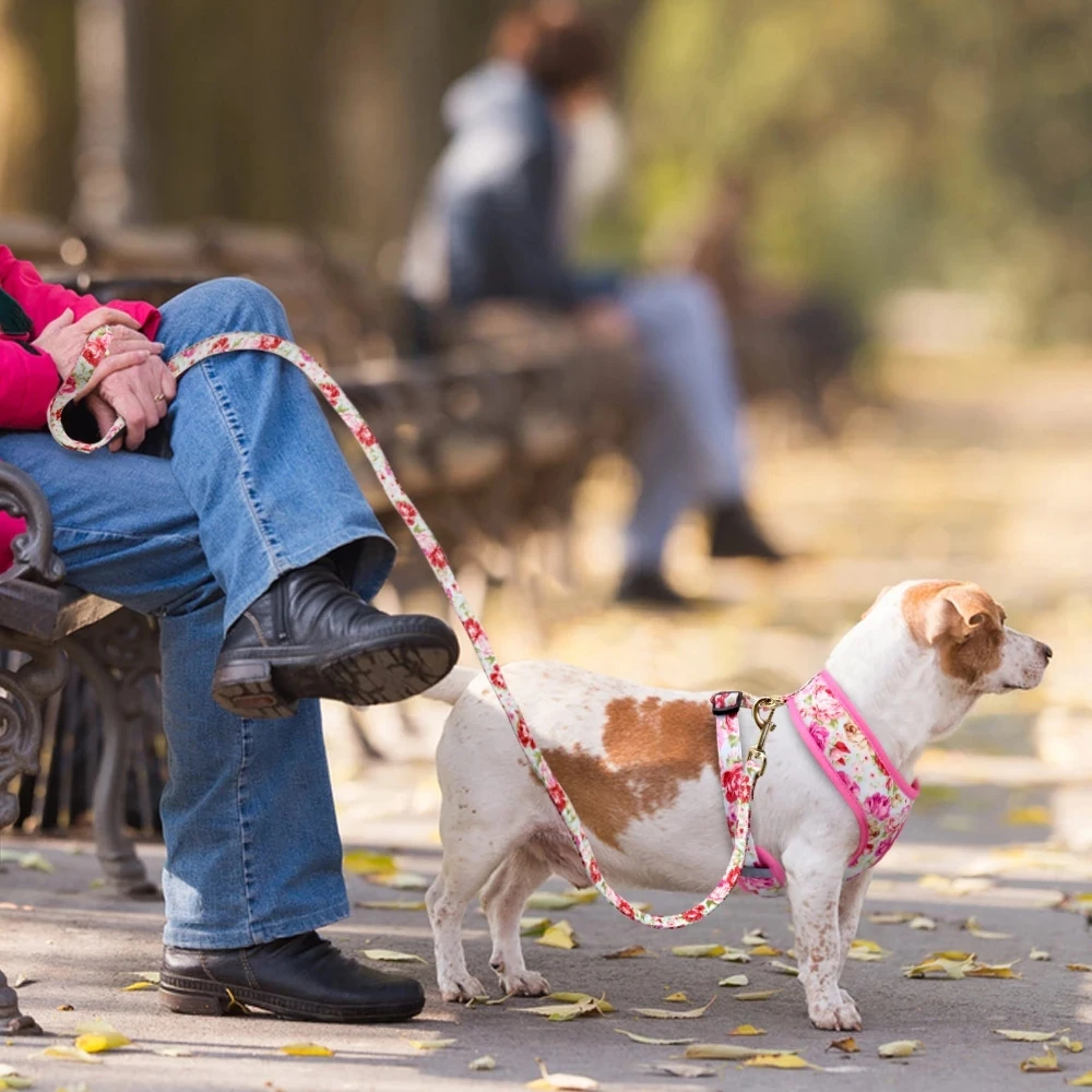 OEM Wholesale Pet Accessories Adjustable Walking Lead Soft Dog Harness And Leash Set manufacture