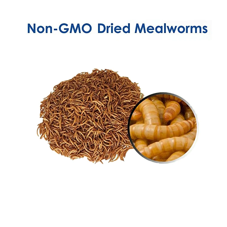 100 Non Gmo Natural Dried Mealworms For Chickens Wild Birds Buy