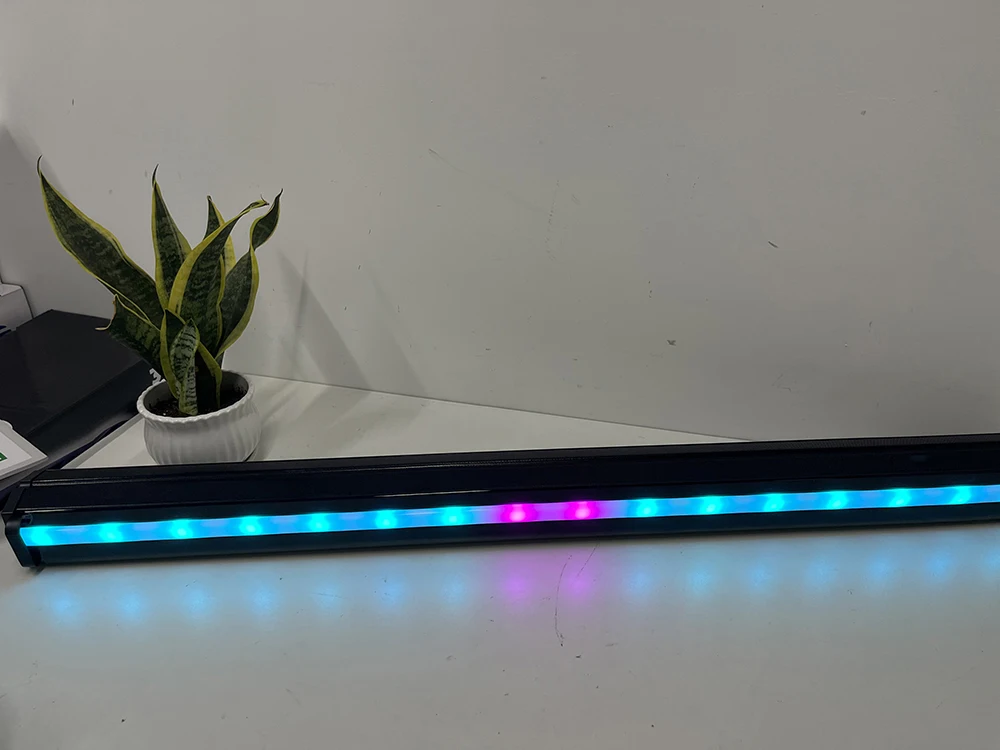 _202507231535181.jpg