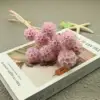 Rosa Claro Morado