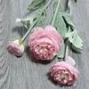 Rosa-viola