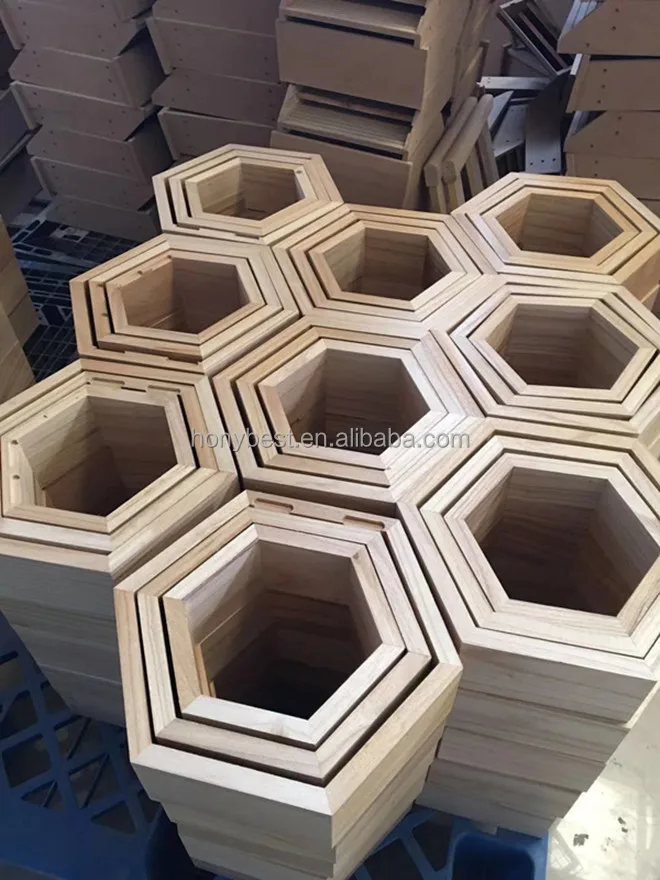 hexagon wall shelves.jpg
