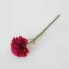 Rouge vif