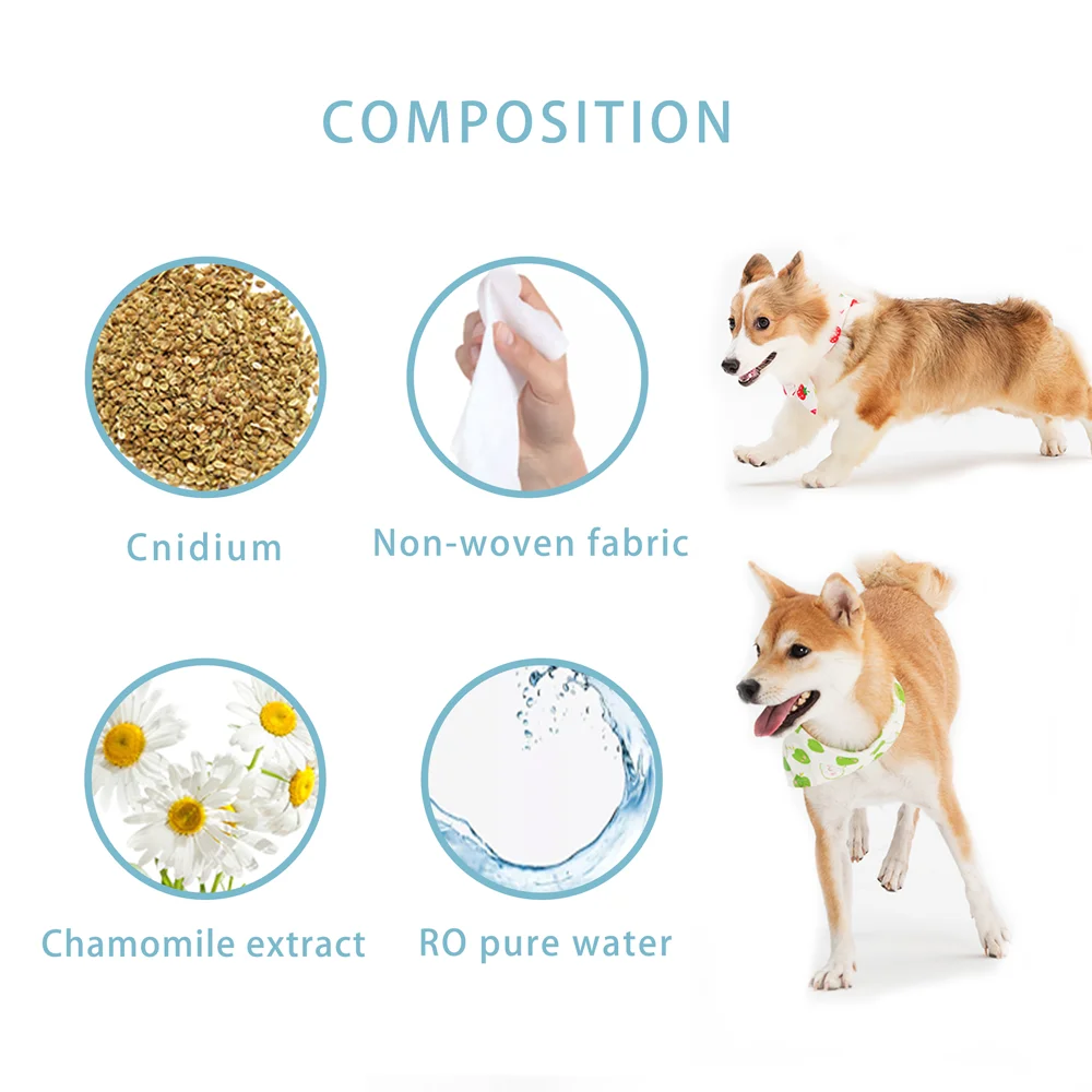 OEM/ODM Biodegradable Organic Easy to Carry Pet Gloves Finger Teeth Ear Eye Outdoors Cleaning Wet Wipes for Dogs Cats