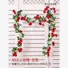 [Red 1] 69-head rose vine