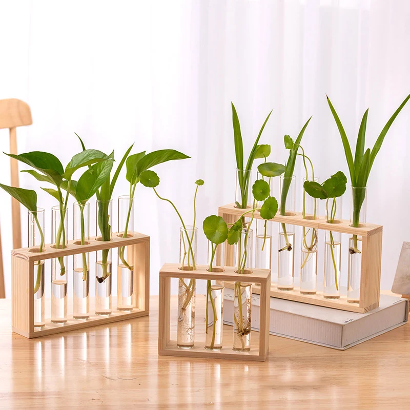 Station De Propagation Hydroponique Suspendue - Support En Bois Avec Tubes Pour Boutures De Plantes - 5