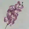 8-head non-woven Phalaenopsis orchid