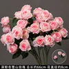 กิ่งกุหลาบภูเขาหิมะสีชมพูเข้ม
