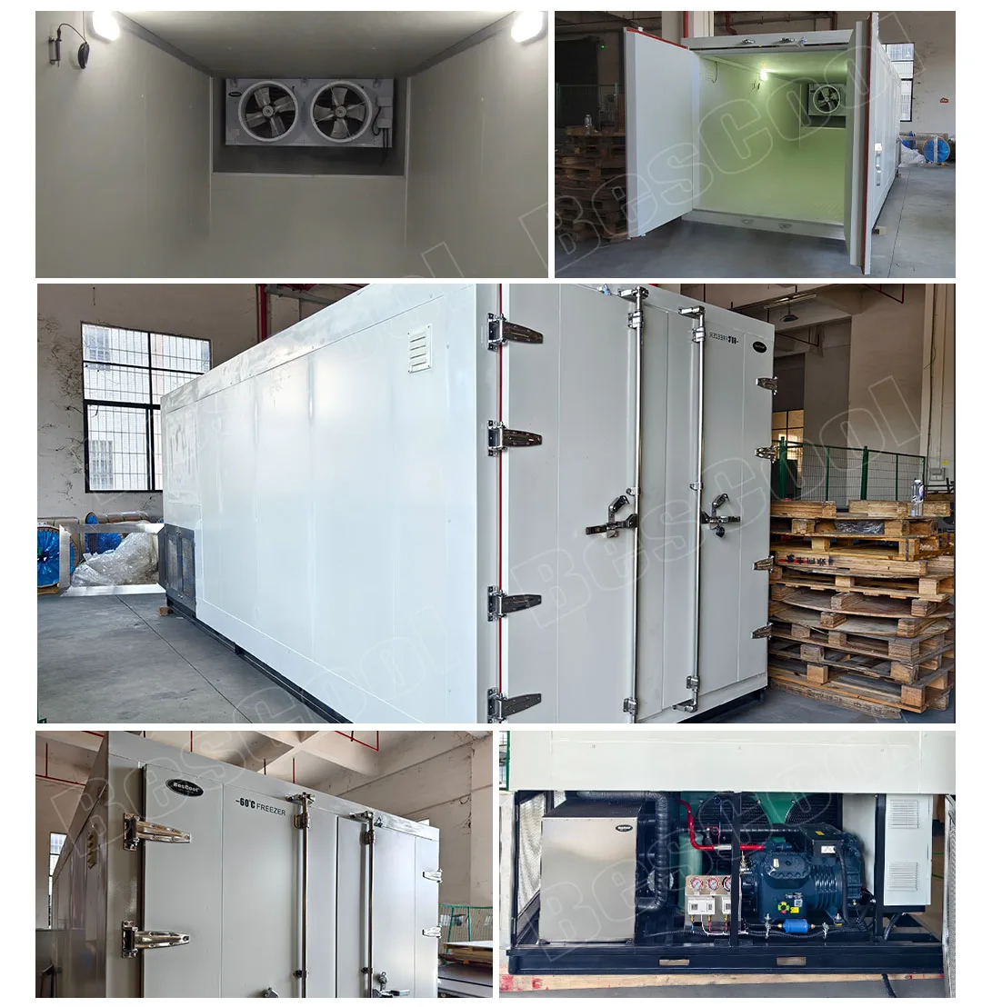Blast Freezer, CO2, 85~-60 - detail 24
