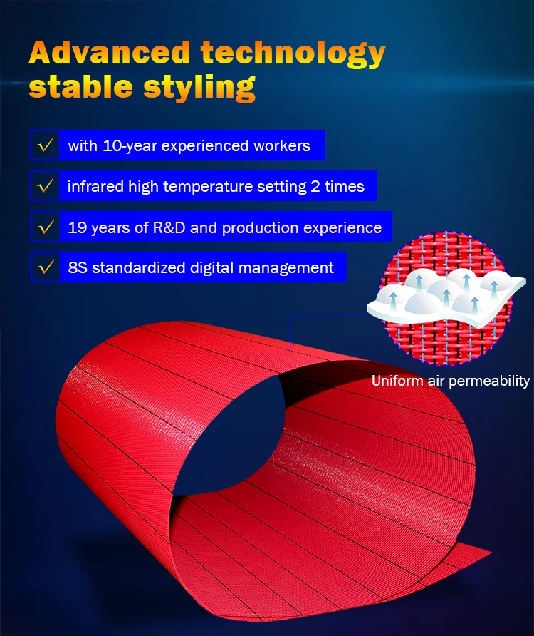 Monofilament Open Weave Mesh Fabrics in Chinese Factory Sale Industrial Polyester