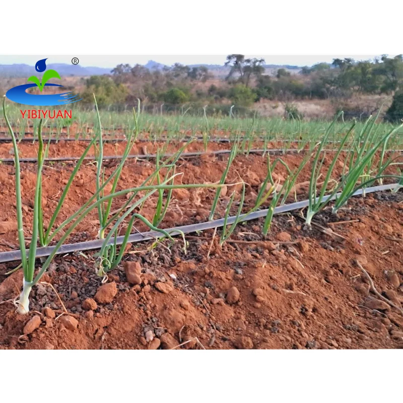 Water Hose 1 Hectare Professional Drip Irrigation System 16mm Agriculture Tomato Onion Drip Irrigation Tape 1000m 2000m