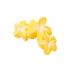 giallo9