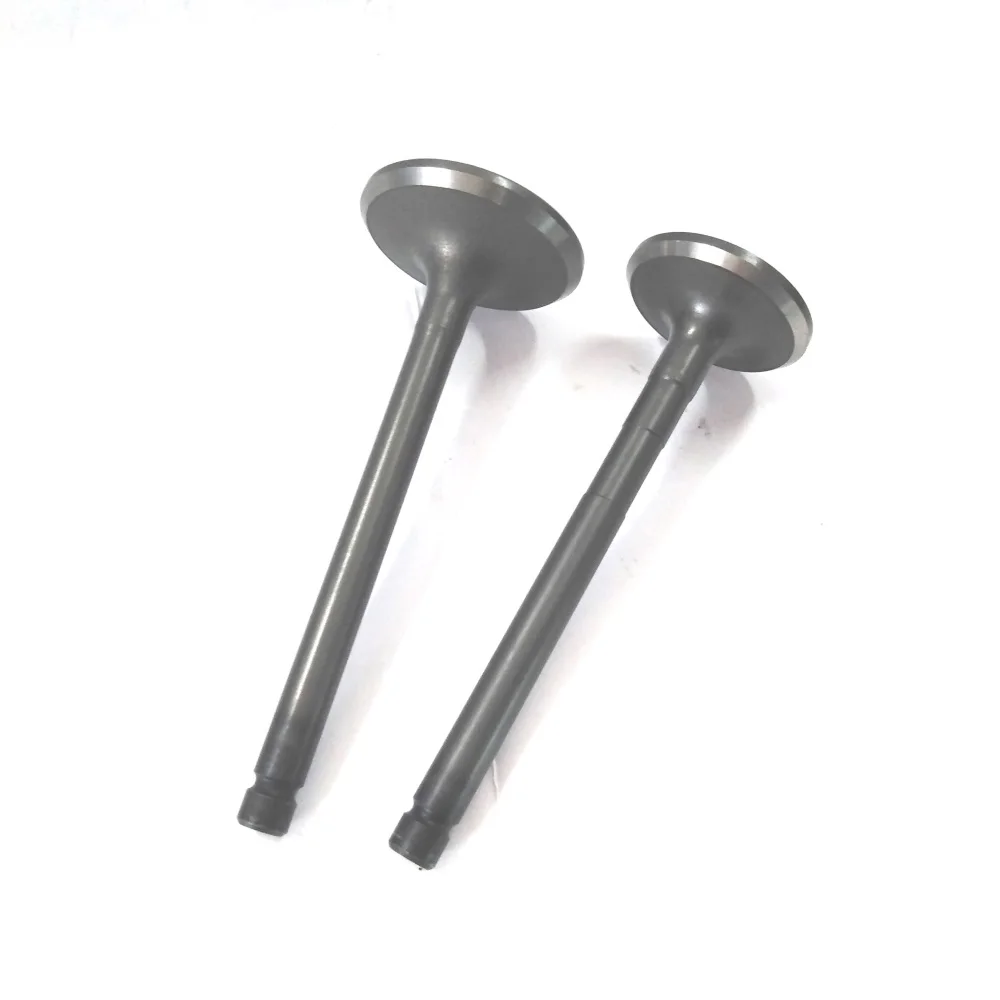 JT Engine Intake Exhaust Valve Used for Kia Pregio Engine for Sale