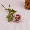 รากบัวสีชมพู