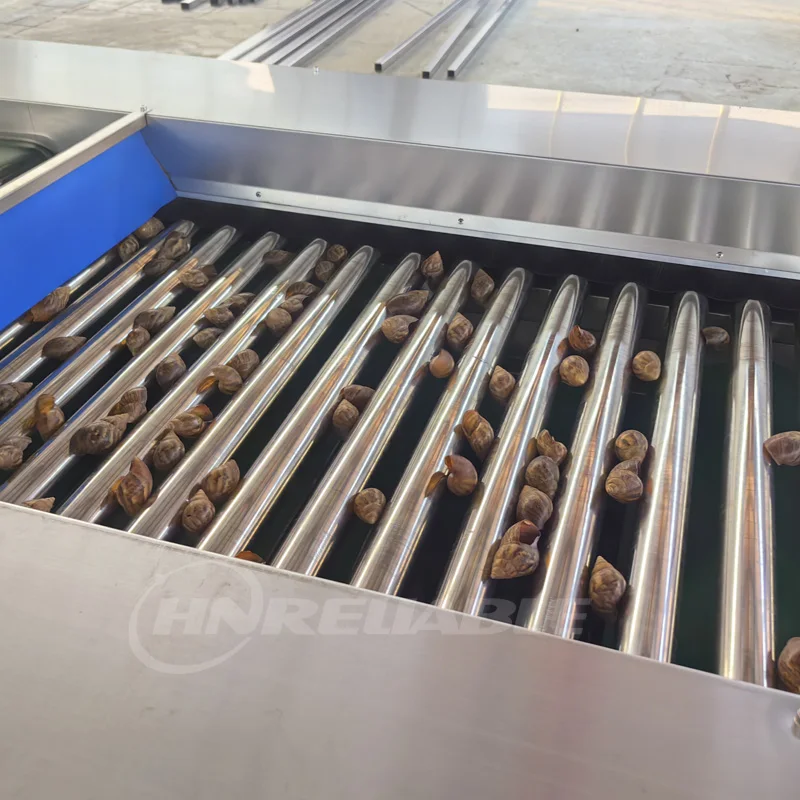 Blueberry Fruit Sorting Grading Machine with Motor Food Grade Stainless Steel 1-3 Tons/Hour Capacity