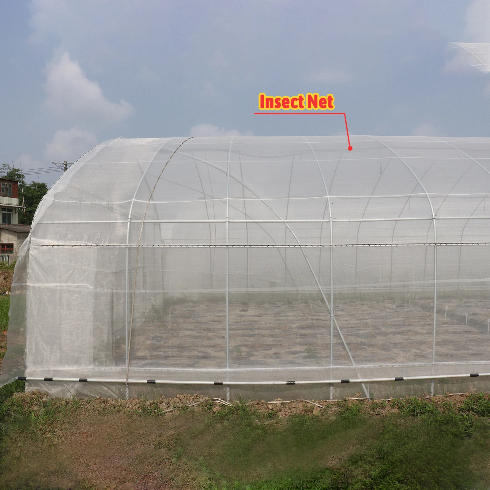 Plastic Film Conservatory Single Span Tunnel Plant Growing House Hydroponic Dome Greenhouse