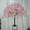 Fiore di ciliegio S14