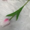 Rose-blanc