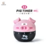 RB543 Rosa