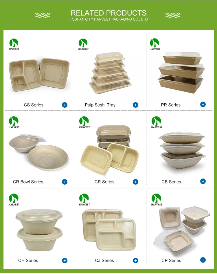 Biodegradable Unbleached Sugarcane Bagasse Bamboo Pulp Bowl - Buy ...
