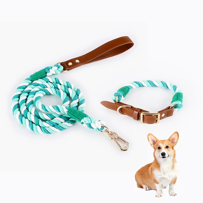 Types Of Collars With Names