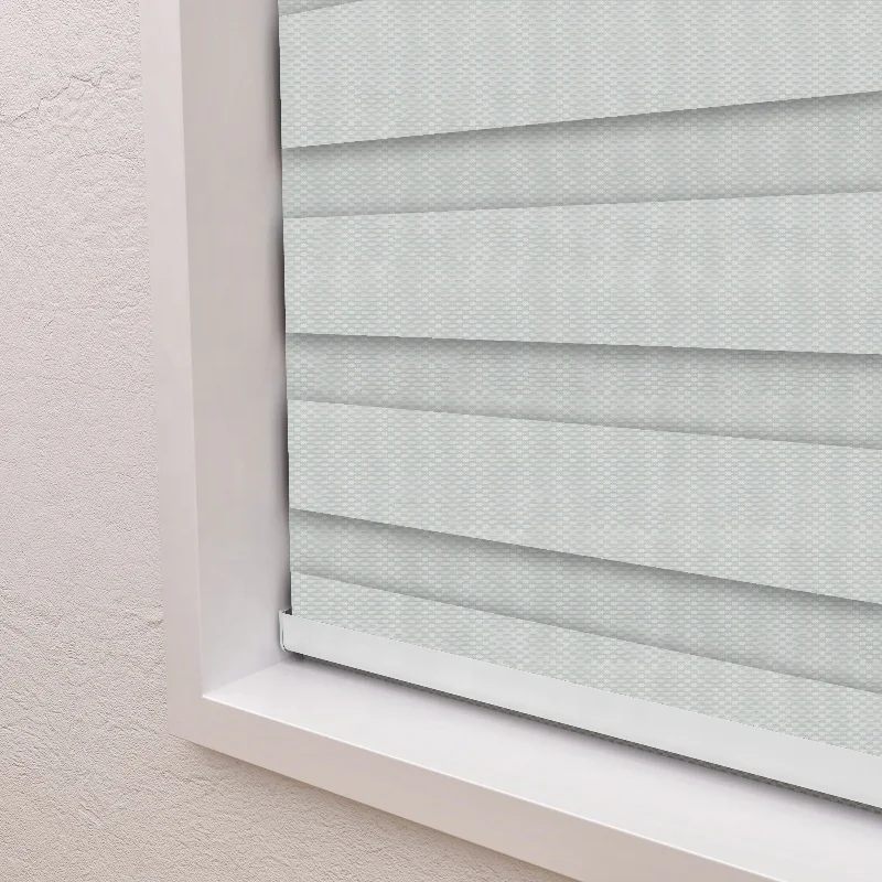 Double Layer Zebra Roller Blinds WiFi Smart Control Day and Night Shade Motorized Zebra Blinds