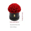 cupola 35 rose