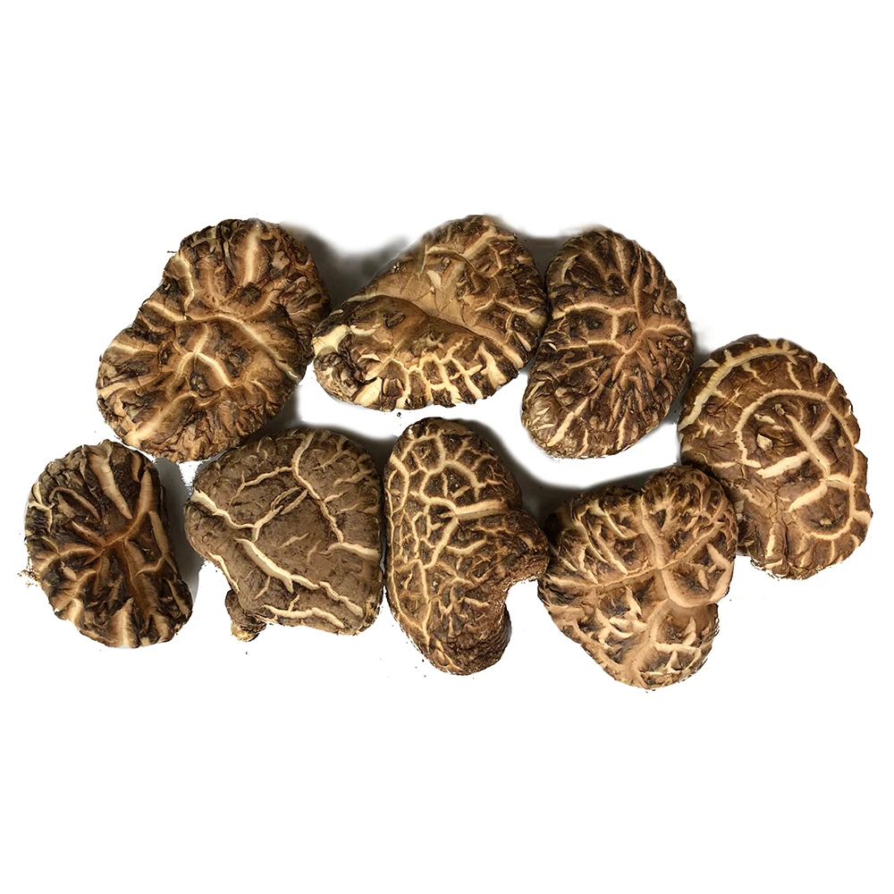 Wholesale export dry shiitake mushroom prices Japanese with good taste