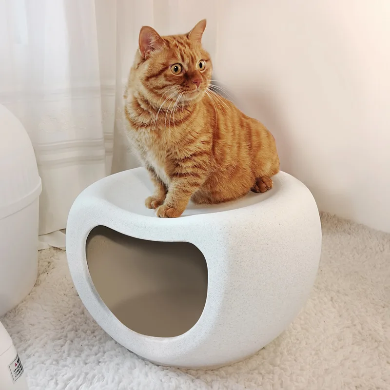 plastic cat bed