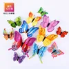 Colore misto 12 pezzi