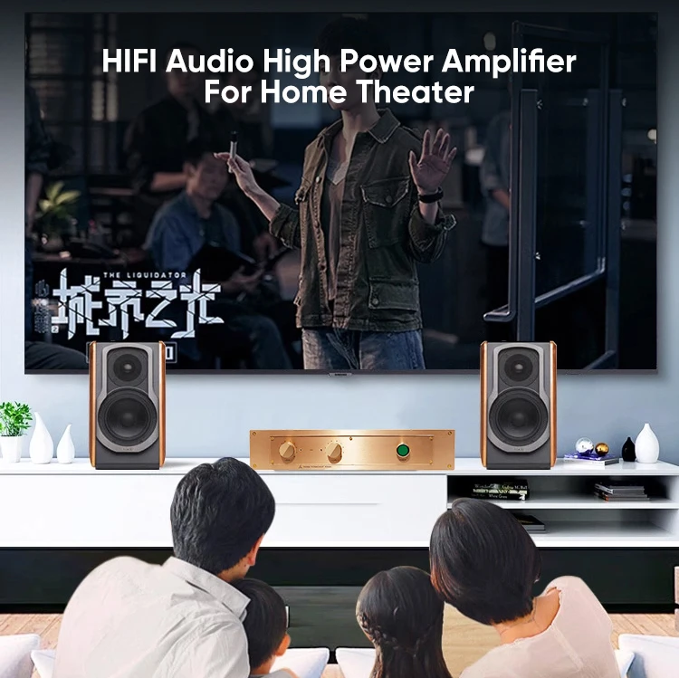 BRZHIFI Audio FM300A 99.9% Clone FM Acoustics Classic Famous Hifi Power Amplifier Audiophile Stereo Amplifier 2 Channel Home Amp details