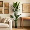 Green 210cm