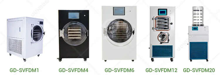 Delta Dry Dried Foods Machine Home Use Small Pump 10 Sqm Lyophilizer Vacuum Freeze Dryer for Food Herb Tea Fruit