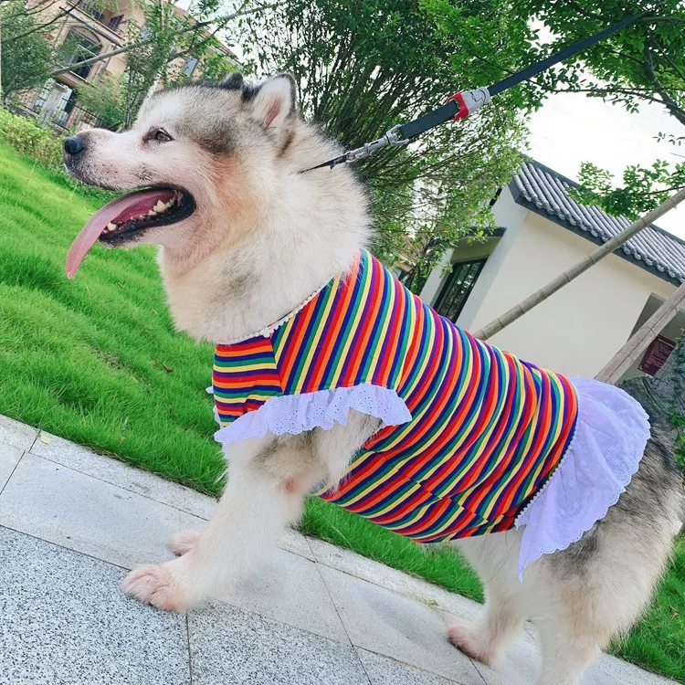 dog dress for golden retriever Golden Retriever Tummy Warmer Dog Vest – Voyagers K9 Apparel