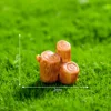 5#Wooden stake