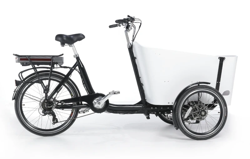 Bici Cargo Bike Bicicletta Elettrica A Ruote Prezzo Bici Cargo