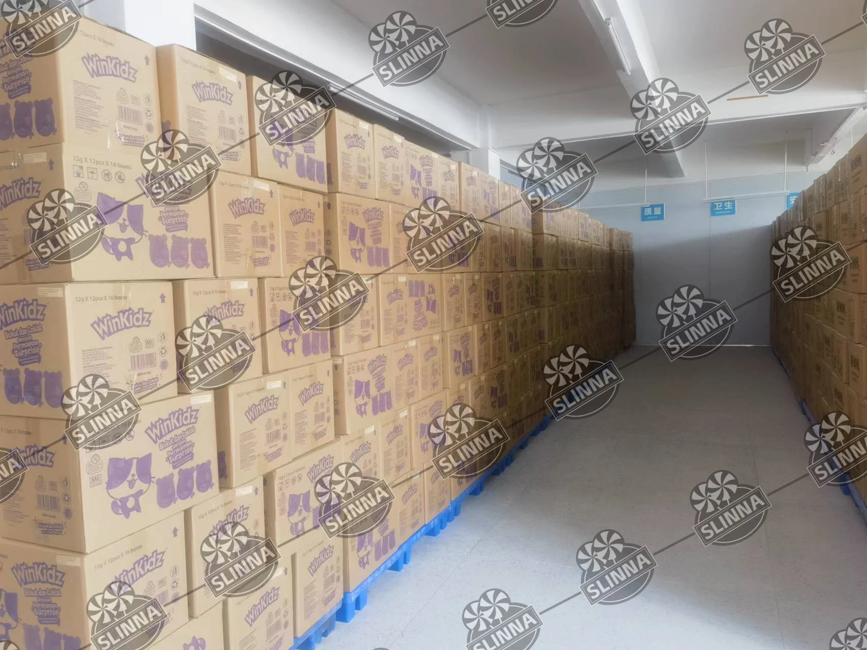Shantou Selina Food Co., Ltd. 3