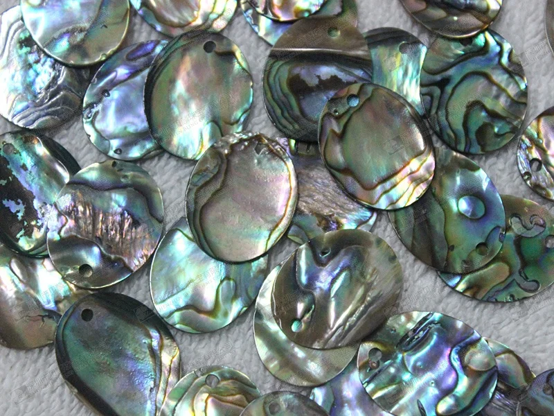 Natural Abalone Shell Discs Wholesale