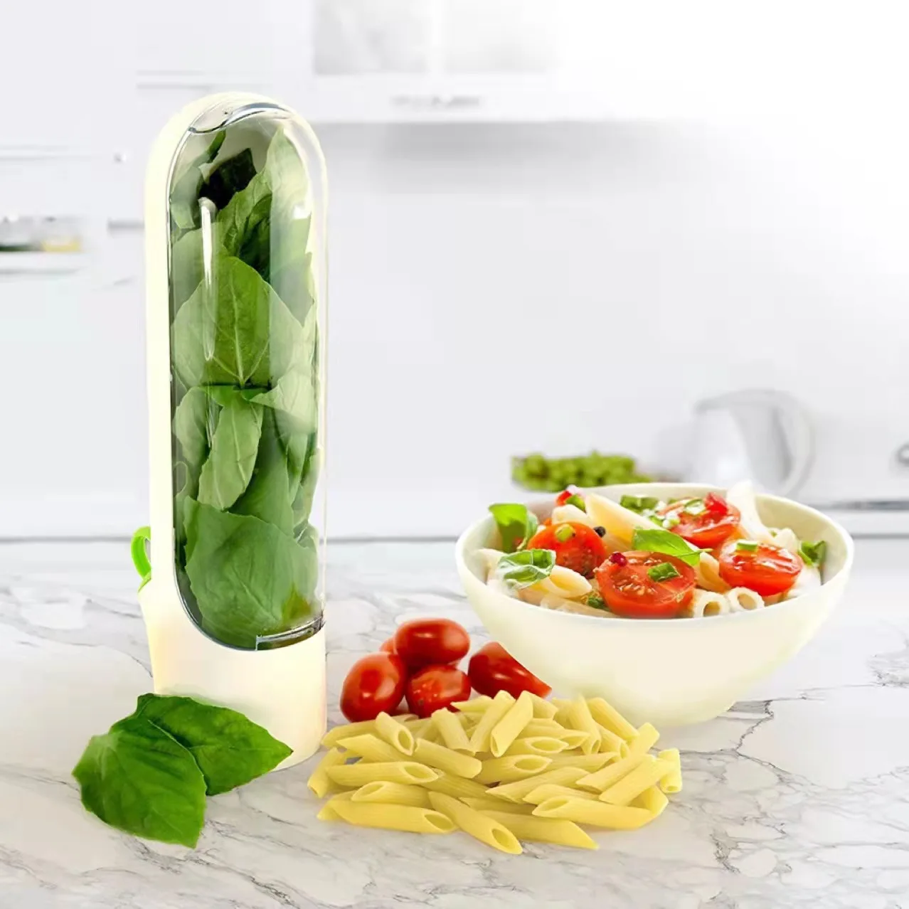 Herb Savor Storage Container Freshness Keeper Herbs Saver Transparent