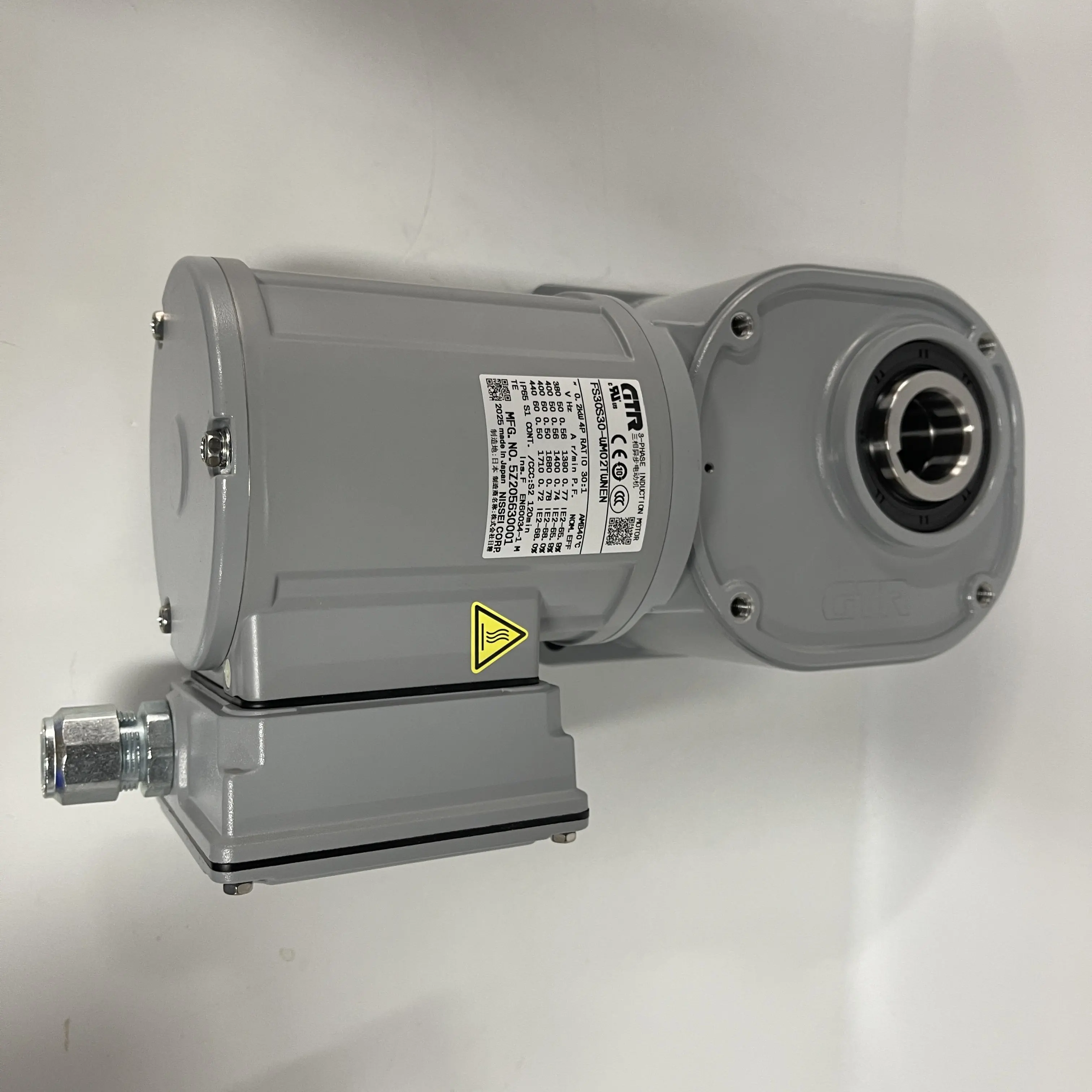 GTR Hollow Shaft Gear Motor FS30S30-WM02TWNEN