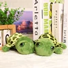 Green turtle
