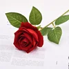 Rouge vif