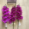 9 heads orchid