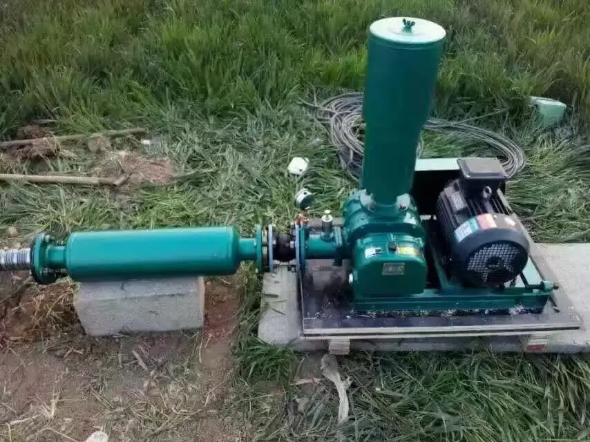 Roots Blower, 1.5KW, Cast - detail 26